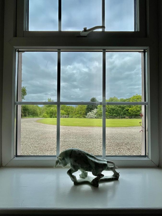 The Cottage At Riverbank Ballinamallard 外观 照片
